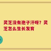 灵芝没有孢子汗呀？灵芝怎么生长发育