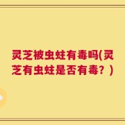 灵芝被虫蛀有毒吗(灵芝有虫蛀是否有毒？)