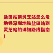 盐田站到灵芝站怎么走地铁深圳地铁盐田站到灵芝站的详细路线指南)
