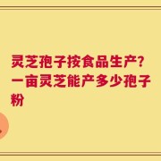 灵芝孢子按食品生产？一亩灵芝能产多少孢子粉