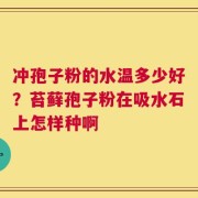 冲孢子粉的水温多少好？苔藓孢子粉在吸水石上怎样种啊