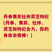 丹参黄芪杜仲灵芝枸杞(丹参、黄芪、杜仲、灵芝和枸杞合力，你的身体会很棒！)