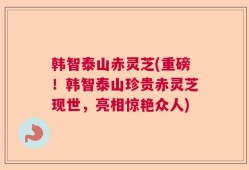 韩智泰山赤灵芝(重磅！韩智泰山珍贵赤灵芝现世，亮相惊艳众人)