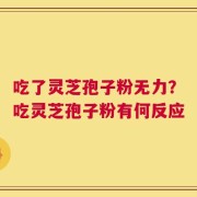 吃了灵芝孢子粉无力？吃灵芝孢子粉有何反应