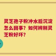 灵芝孢子粉冲水后沉淀怎么回事？如何辨别灵芝粉好坏？