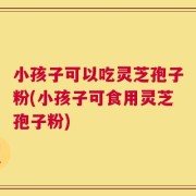 小孩子可以吃灵芝孢子粉(小孩子可食用灵芝孢子粉)