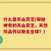 什么是天山灵芝(探秘神奇的天山灵芝，天然珍品何以驰名全球？)