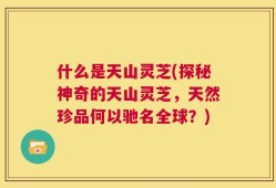 什么是天山灵芝(探秘神奇的天山灵芝，天然珍品何以驰名全球？)