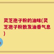 灵芝孢子粉的油味(灵芝孢子粉散发油香气息)