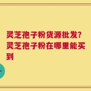 灵芝孢子粉货源批发？灵芝孢子粉在哪里能买到