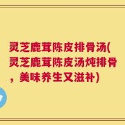 灵芝鹿茸陈皮排骨汤(灵芝鹿茸陈皮汤炖排骨，美味养生又滋补)