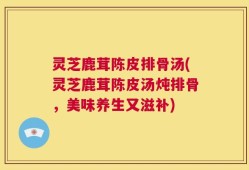 灵芝鹿茸陈皮排骨汤(灵芝鹿茸陈皮汤炖排骨，美味养生又滋补)