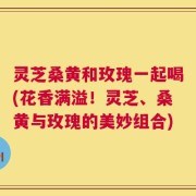 灵芝桑黄和玫瑰一起喝(花香满溢！灵芝、桑黄与玫瑰的美妙组合)