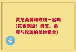 灵芝桑黄和玫瑰一起喝(花香满溢！灵芝、桑黄与玫瑰的美妙组合)