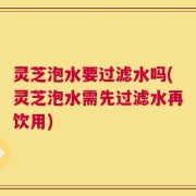 灵芝泡水要过滤水吗(灵芝泡水需先过滤水再饮用)