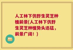 人工林下仿野生灵芝种植前景(人工林下仿野生灵芝种植势头迅猛，前景广阔！)