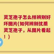 灵芝孢子怎么样辨别好坏图片(如何辨别优质灵芝孢子，从图片看起！)