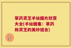 草药灵芝手绘图片欣赏大全(手绘图集：草药和灵芝的美妙结合)