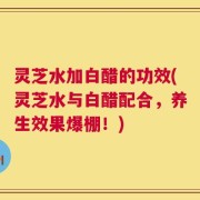 灵芝水加白醋的功效(灵芝水与白醋配合，养生效果爆棚！)