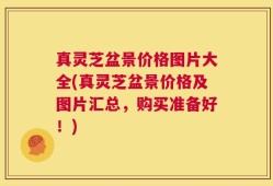 真灵芝盆景价格图片大全(真灵芝盆景价格及图片汇总，购买准备好！)