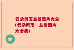 云朵灵芝盆景图片大全(云朵灵芝：盆景图片大合集)