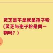 灵芝是不是就是孢子粉(灵芝与孢子粉是同一物吗？)