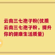 云南三七孢子粉(优质云南三七孢子粉，提升你的健康生活质量)
