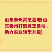 山东泰州灵芝基地(山东泰州打造灵芝基地，助力农业转型升级)