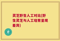 灵芝野生人工对比(野生灵芝与人工培育呈现差异)