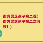 南方灵芝孢子粉二茬(南方灵芝孢子粉二次收获！)