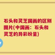 石头和灵芝国画的区别图片(中国画：石头和灵芝的异彩纷呈)