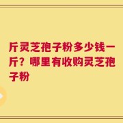 斤灵芝孢子粉多少钱一斤？哪里有收购灵芝孢子粉