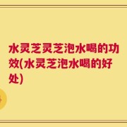 水灵芝灵芝泡水喝的功效(水灵芝泡水喝的好处)