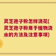 灵芝孢子粉怎样浇花(灵芝孢子粉用于植物浇水的方法及注意事项)