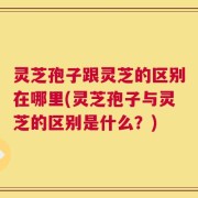 灵芝孢子跟灵芝的区别在哪里(灵芝孢子与灵芝的区别是什么？)