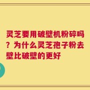 灵芝要用破壁机粉碎吗？为什么灵芝孢子粉去壁比破壁的更好
