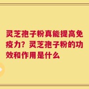 灵芝孢子粉真能提高免疫力？灵芝孢子粉的功效和作用是什么