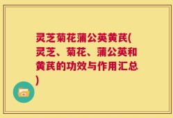 灵芝菊花蒲公英黄芪(灵芝、菊花、蒲公英和黄芪的功效与作用汇总)