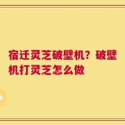 宿迁灵芝破壁机？破壁机打灵芝怎么做