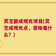 灵芝都成观光项目(灵芝成观光点，意味着什么？)