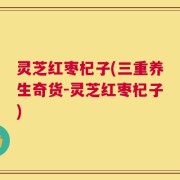 灵芝红枣杞子(三重养生奇货-灵芝红枣杞子)