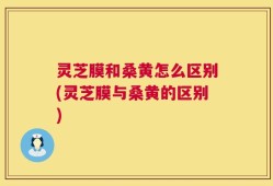 灵芝膜和桑黄怎么区别(灵芝膜与桑黄的区别)