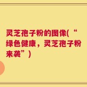 灵芝孢子粉的图像(“绿色健康，灵芝孢子粉来袭”)
