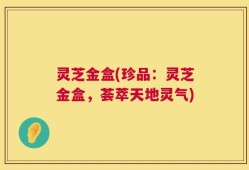 灵芝金盒(珍品：灵芝金盒，荟萃天地灵气)