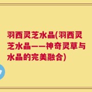 羽西灵芝水晶(羽西灵芝水晶——神奇灵草与水晶的完美融合)