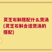 灵芝石斛搭配什么煲汤(灵芝石斛合适煲汤的搭配)