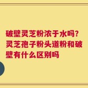 破壁灵芝粉浓于水吗？灵芝孢子粉头道粉和破壁有什么区别吗