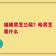 福建灵芝三萜？峪灵芝是什么