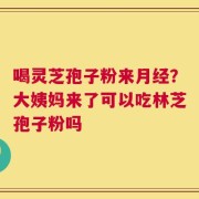 喝灵芝孢子粉来月经？大姨妈来了可以吃林芝孢子粉吗