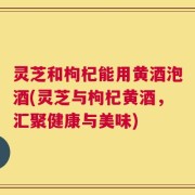 灵芝和枸杞能用黄酒泡酒(灵芝与枸杞黄酒，汇聚健康与美味)